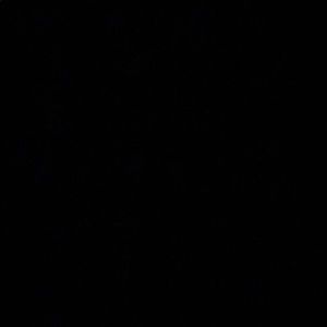 Meet your Posher, Luis